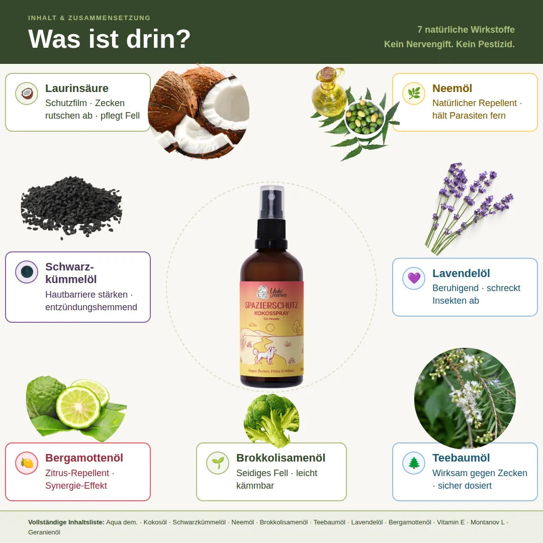 Das Bild zeigt eine Übersicht der Inhaltsstoffe eines Kokossprays mit natürlichen Wirkstoffen für den Schutz vor Zecken.
