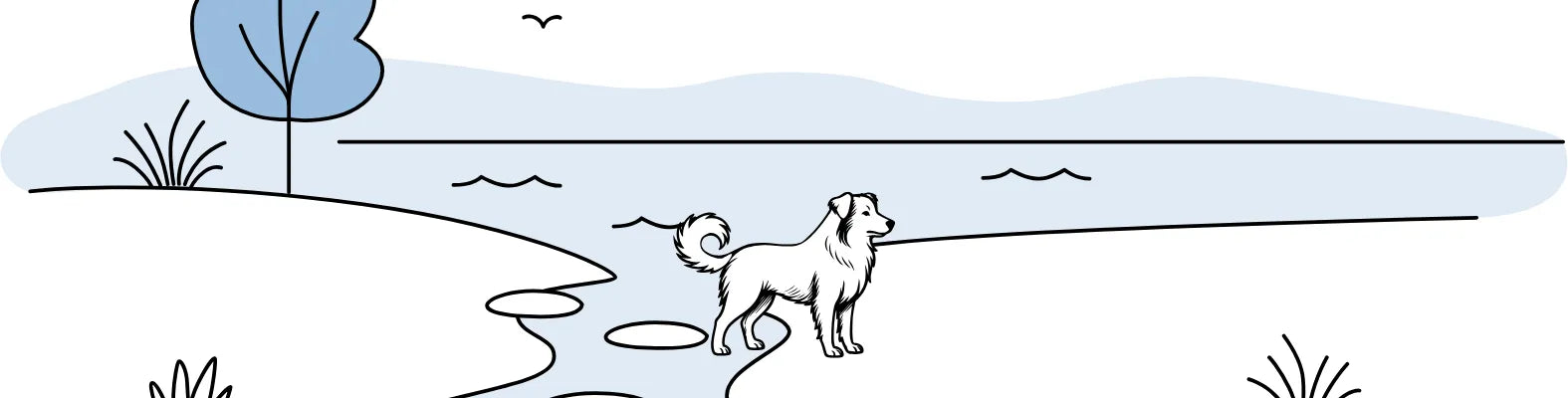 Ein Hund steht am Ufer eines Sees, während im Hintergrund ein Baum und Vögel am Himmel zu sehen sind.