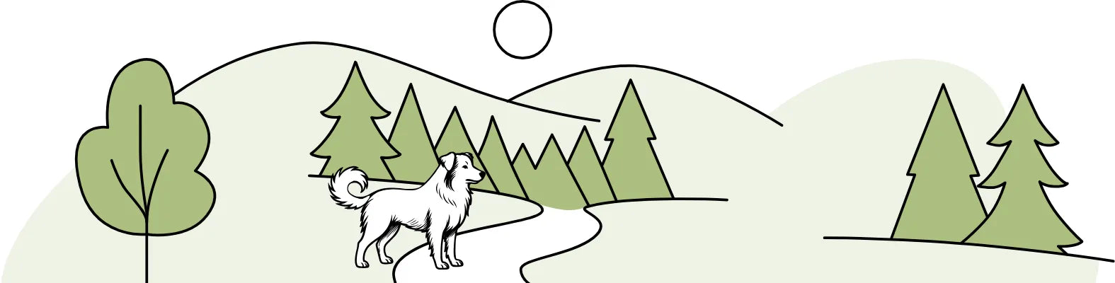 Ein Hund steht auf einem Pfad in einer hügeligen Landschaft mit Bäumen und der Sonne am Himmel.