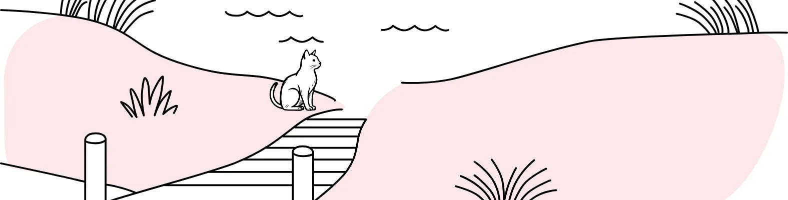 Eine Katze sitzt auf einem Steg und blickt über sanfte Hügel und grasbewachsene Dünen.