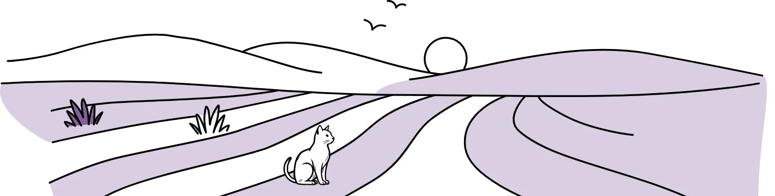 Eine Katze sitzt auf einem lila Feld, während die Sonne hinter sanften Hügeln untergeht und Vögel am Himmel fliegen.