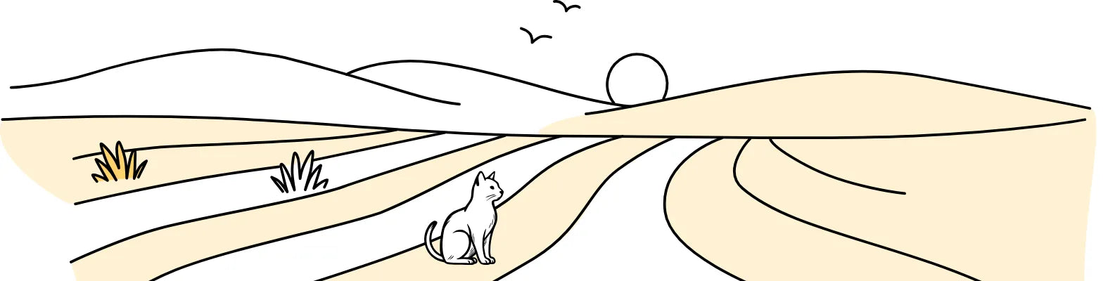 Eine Katze sitzt auf einem Feldweg und beobachtet den Sonnenuntergang über den sanften Hügeln.