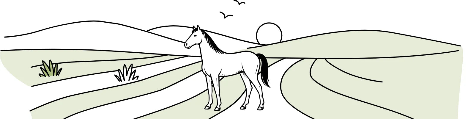 Ein Pferd steht in einer stilisierten Landschaft mit Hügeln und einem Sonnenuntergang, während Vögel am Himmel fliegen.