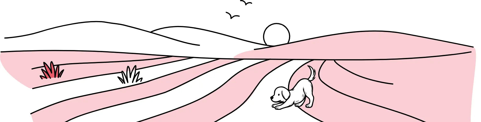 Ein Welpe tollt auf einem rosa Feld bei Sonnenaufgang, während Vögel am Himmel fliegen.