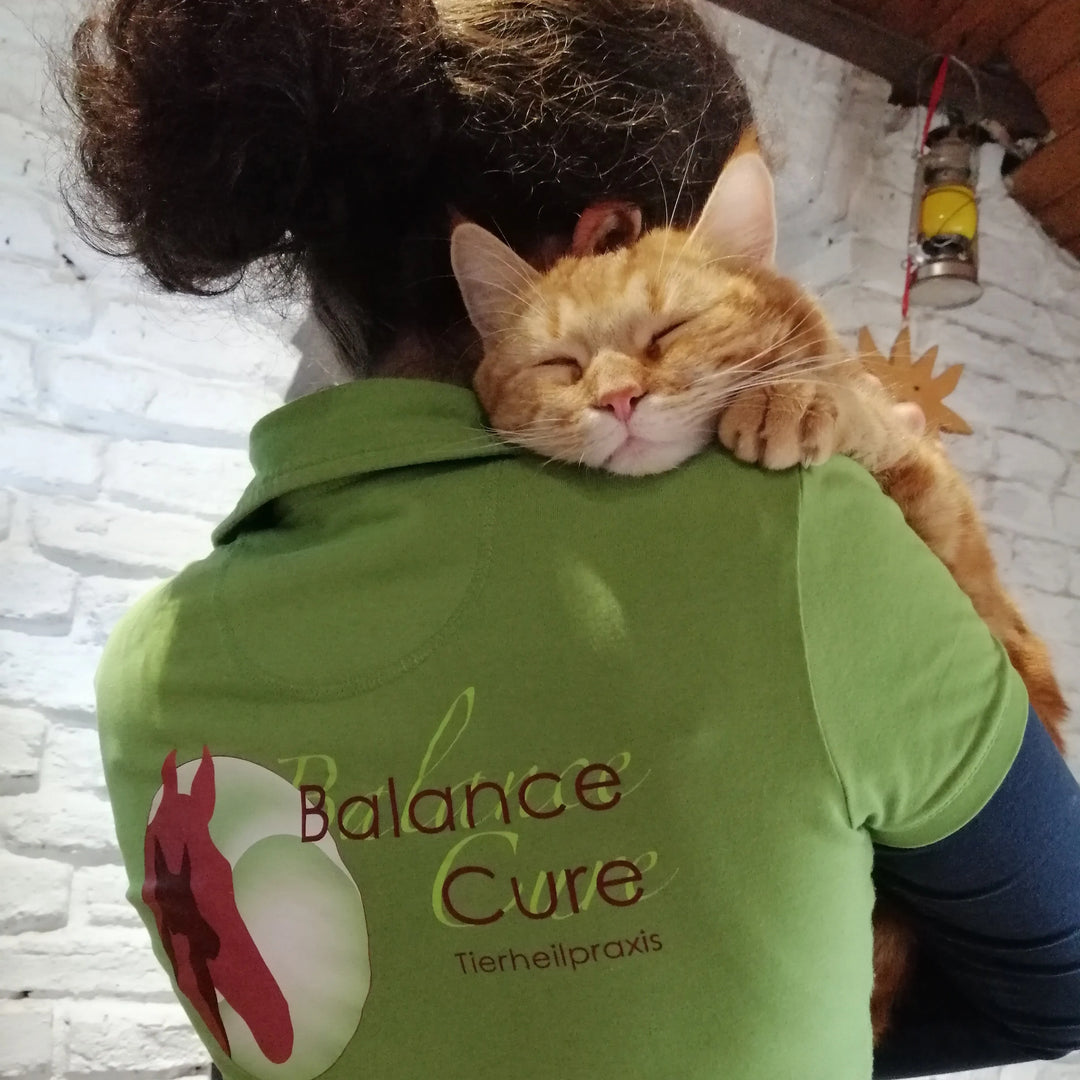 Eine Person mit einem grünen Shirt hält eine schnurrende Katze glücklich im Arm. | © Balance Cure