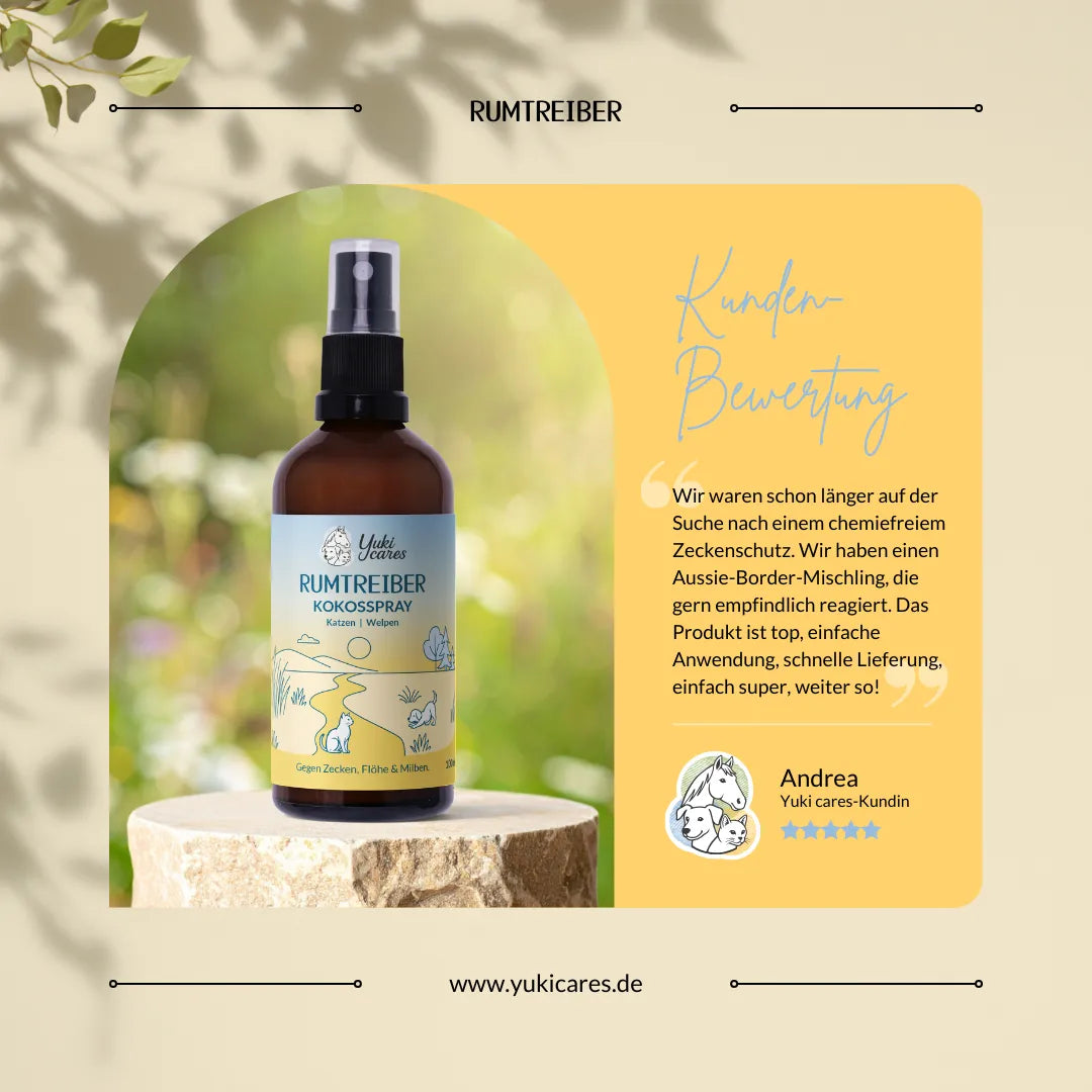 Eine Flasche Rumtreiber Kokosspray steht auf einem Baumstumpf, daneben eine Kundenbewertung auf gelbem Hintergrund.