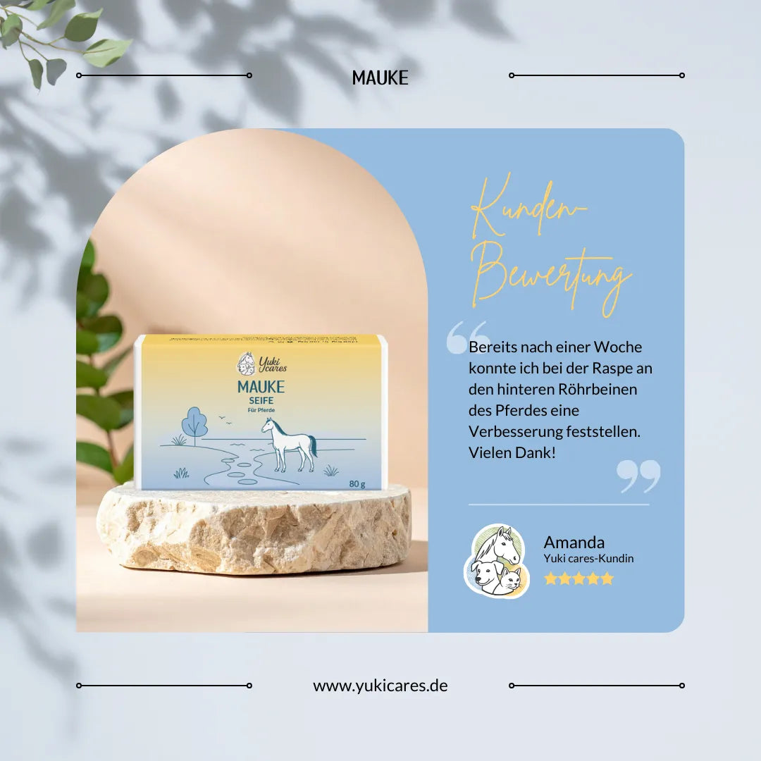 Eine Verpackung Mauke-Seife für Pferde steht auf einem Stein, daneben eine Kundenbewertung mit fünf Sternen.