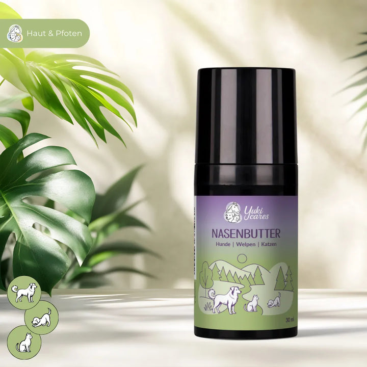 Eine Flasche Nasenbutter für Hunde, Welpen und Katzen steht umgeben von grünen Pflanzen auf einem Tisch.