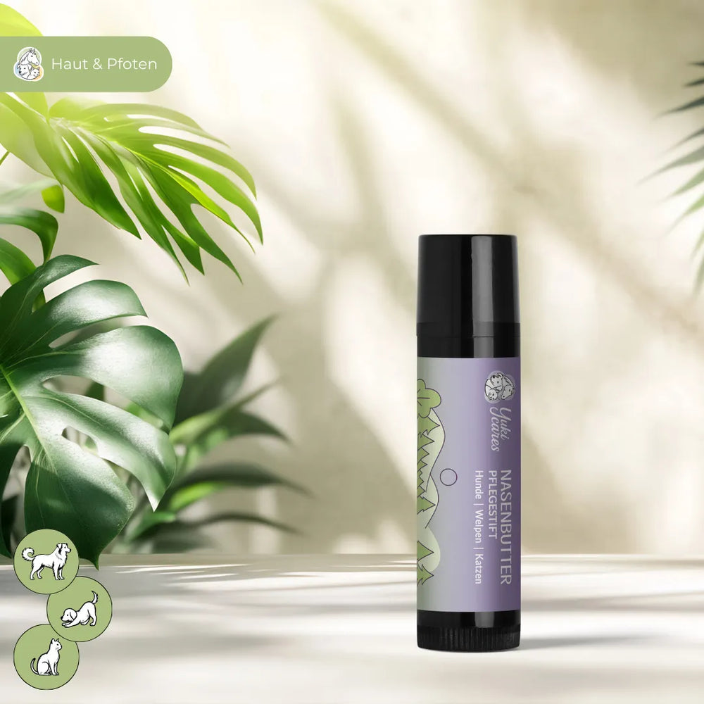 Ein Nasenbutter-Pflegestift für Hunde und Katzen steht auf einem Tisch mit grünen Pflanzen im Hintergrund.