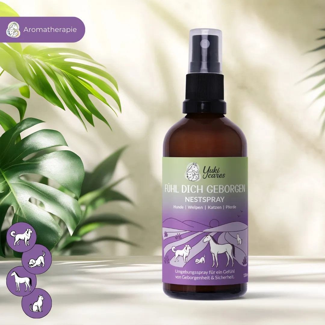 Ein Aromatherapie-Spray für Haustiere steht auf einem Tisch, umgeben von grünen Pflanzen.