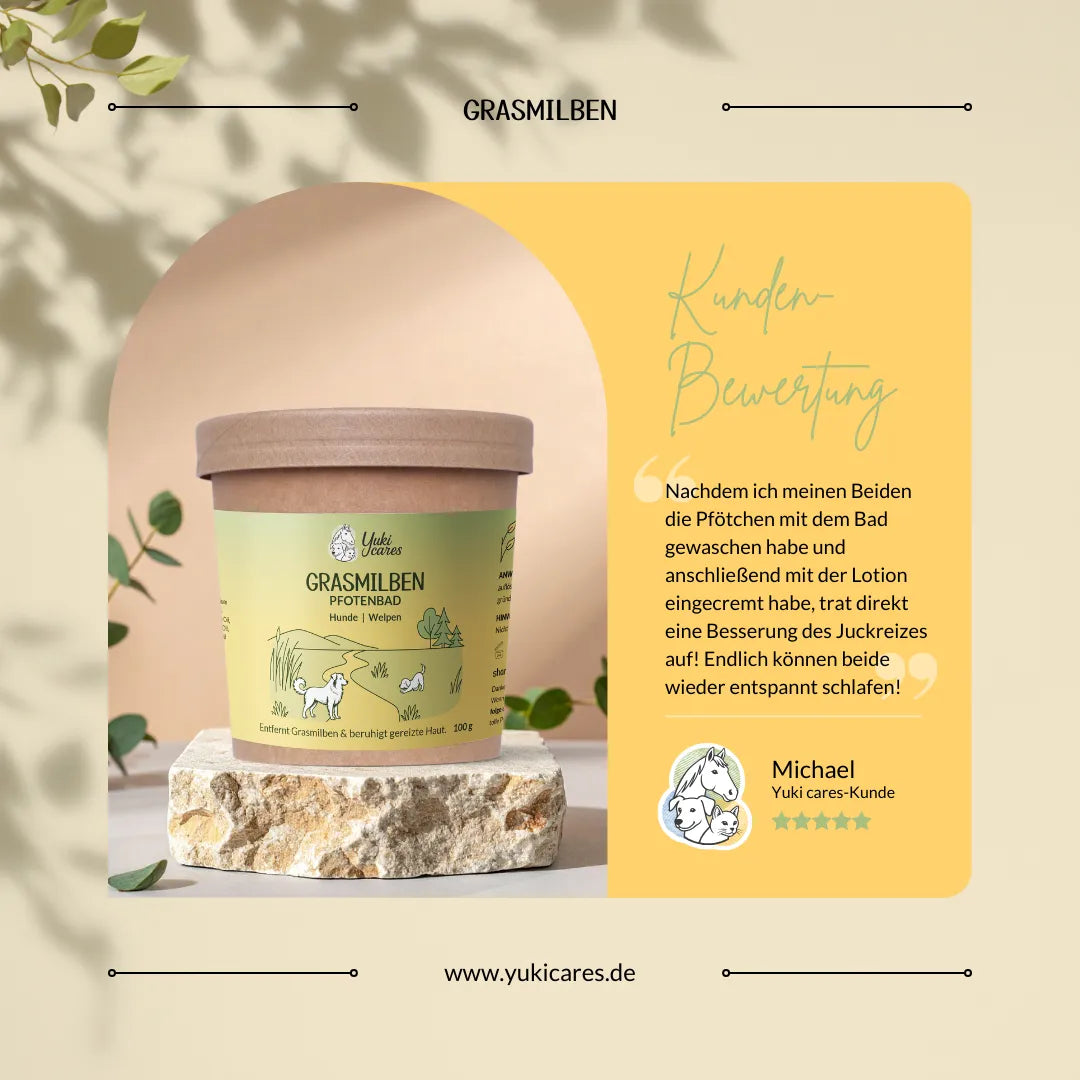 Eine Dose Grasmilben-Pfotenbad von Yuki auf einem Stein, begleitet von einer Kundenbewertung auf gelbem Hintergrund.