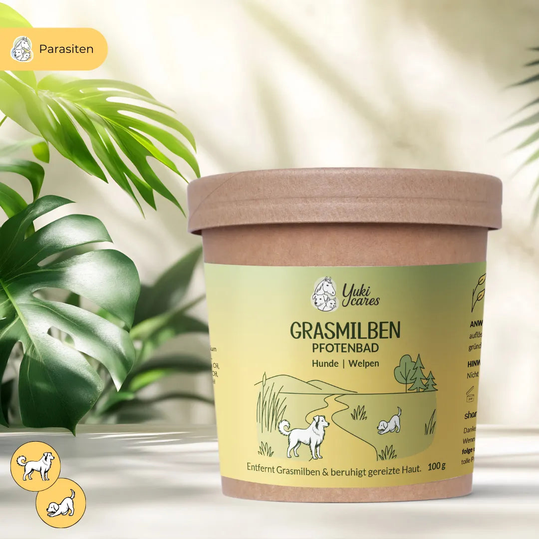 Ein grüner Becher mit der Aufschrift "Grasmilben Pfotenbad" steht neben tropischen Blättern.