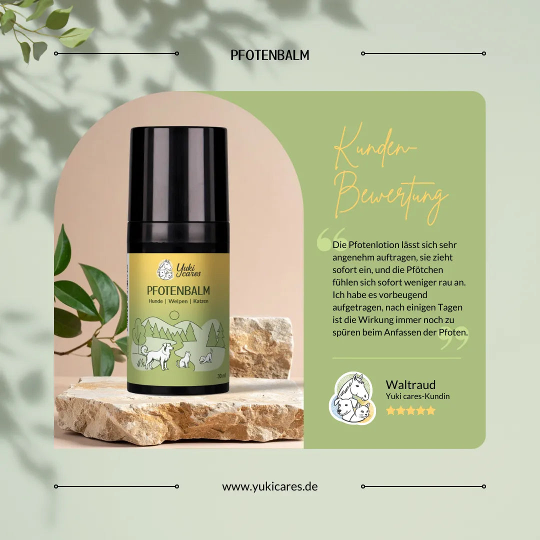 Ein Pfotenbalsam-Fläschchen steht auf einem Stein, umgeben von Blättern, mit einer Kundenbewertung und Website-Informationen.