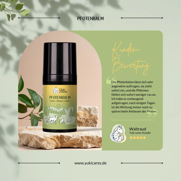 Ein Pfotenbalsam-Fläschchen steht auf einem Stein, umgeben von Blättern, mit einer Kundenbewertung und Website-Informationen.