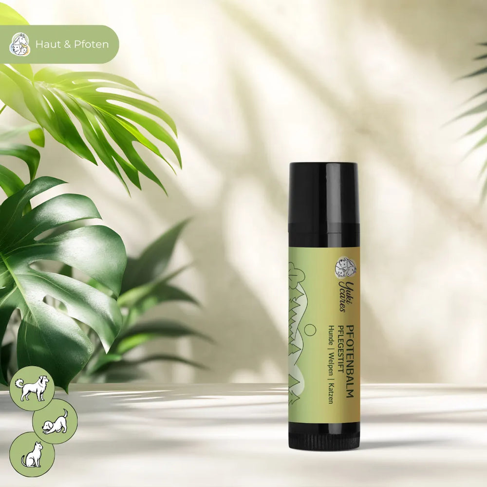 Pfotenbalsam in grünem Behälter steht auf einem Tisch, umgeben von grünen Blättern, geeignet für Hunde und Katzen.