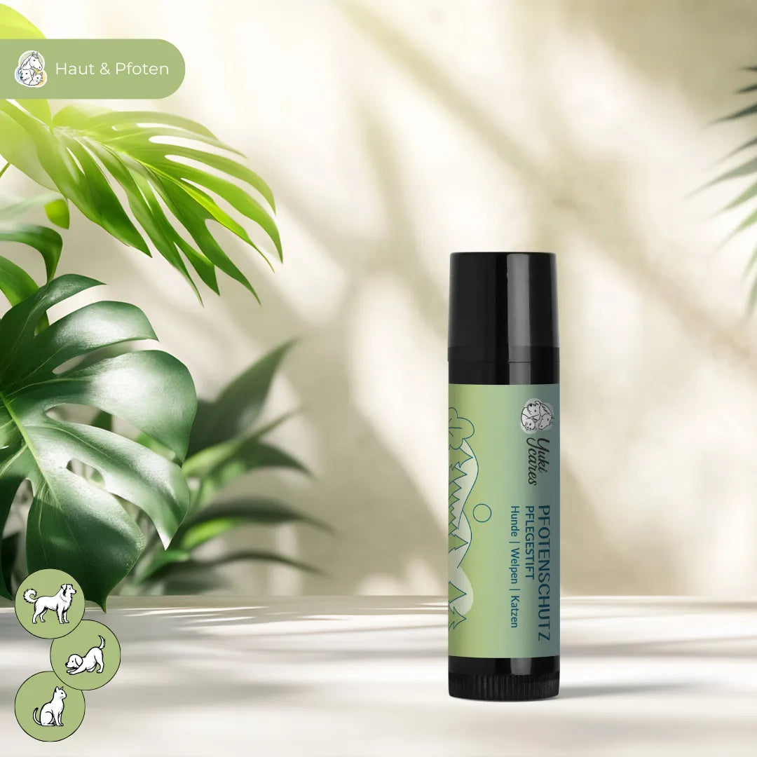 Ein grüner Pfotenschutz-Pflegestift für Hunde und Katzen steht auf einem Tisch, umgeben von grünen Pflanzen.