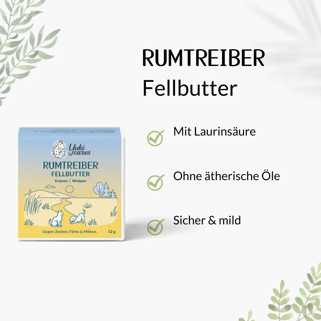 Die Verpackung der Rumtreiber Fellbutter zeigt ein Landschaftsmotiv und beschreibt drei Vorteile des Produkts für Katzen und Welpen.