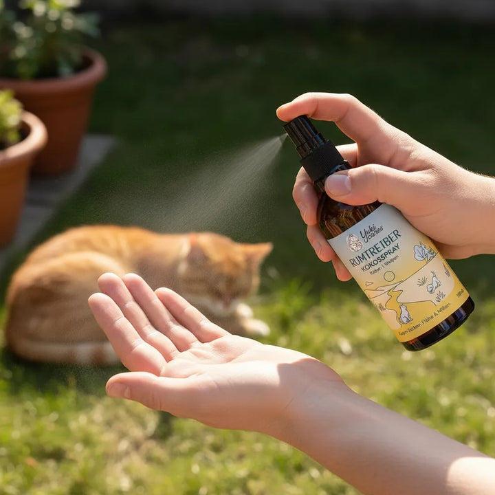 Eine Person sprüht Reiseflugspray auf die Hand, während im Hintergrund eine orange Katze im Gras liegt.