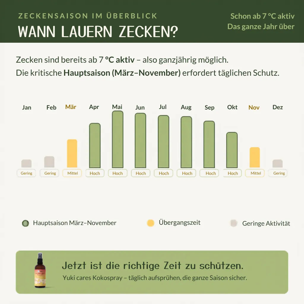 Eine informative Grafik über die Zeckenaktivität, die die Hauptsaison von März bis November hervorhebt.