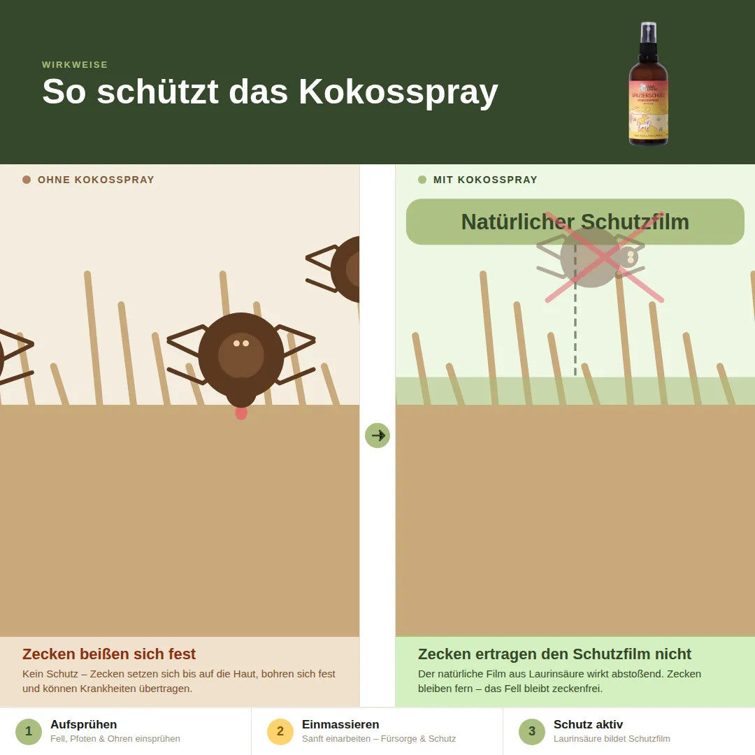 Das Bild erklärt die Wirkung von Kokosspray gegen Zecken, indem es den Unterschied zwischen ohne und mit Spray zeigt.