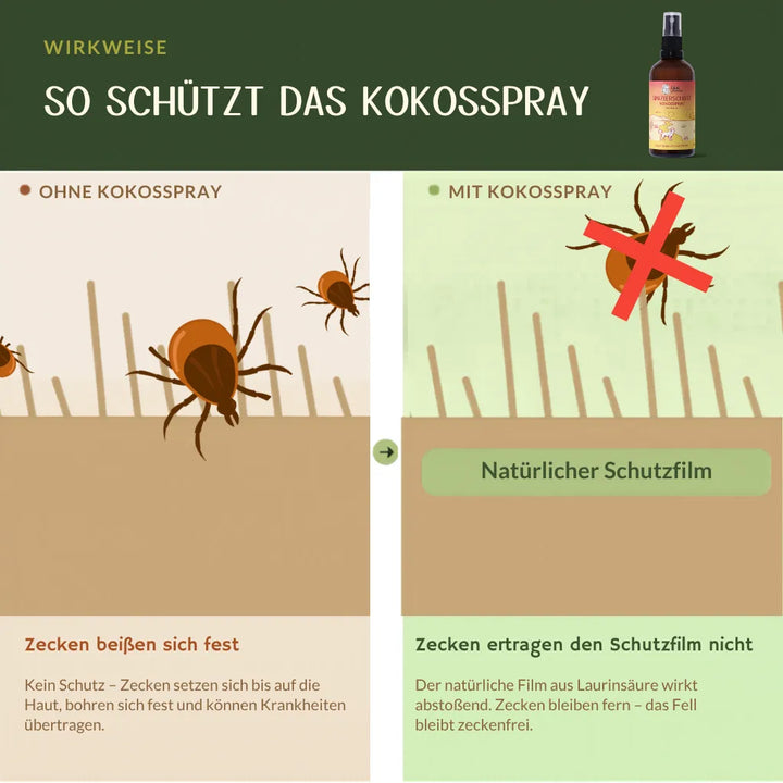 Das Bild veranschaulicht, wie Kokosspray Zecken abwehrt und somit einen natürlichen Schutzfilm bildet.