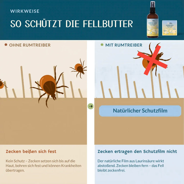 Die Grafik erklärt, wie Fellbutter mit Rumtreiber Zecken abwehrt und einen natürlichen Schutzfilm bildet.