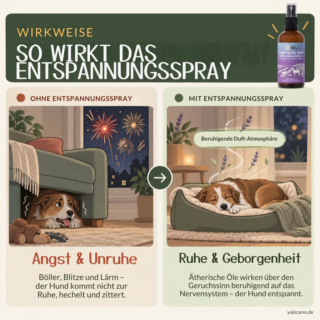 Entspannungsspray Finde deine Ruhe 100ml