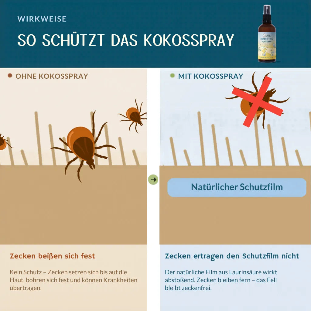 Grafik erklärt, wie Kokosspray als Schutz gegen Zecken wirkt und deren Bisse abwehrt. | © Name