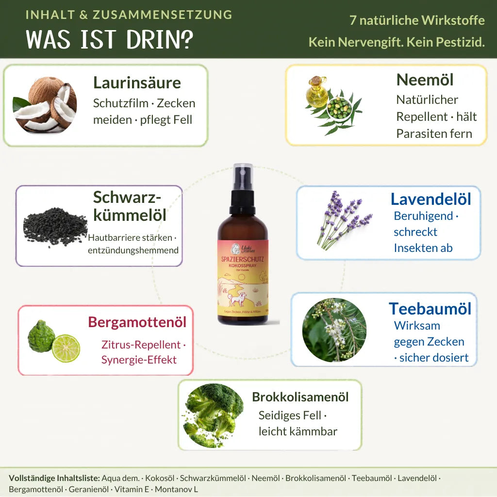 Das Bild zeigt eine Übersicht über die Inhaltsstoffe eines natürlichen Sprays zum Schutz gegen Zecken und Insekten.