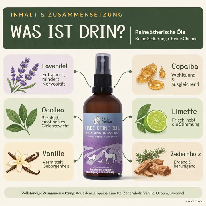 Entspannungsspray Finde deine Ruhe 100ml